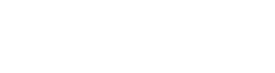 Bizwomen
