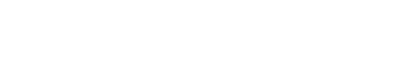 Swanepoel Power 200